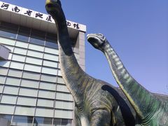 -河南自然博物馆