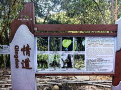 -霸王岭国家森林公园