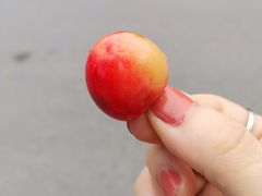 -水磨古镇