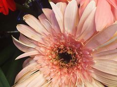 -马路边边麻辣烫联盟路店