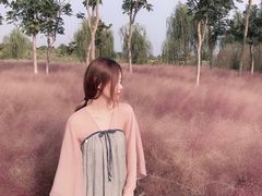 -南湖湿地公园