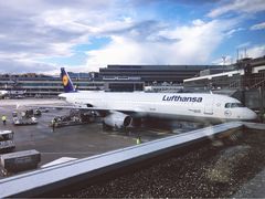 -法兰克福机场免税店(2号航站楼店)