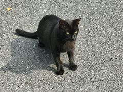 -浙江农林大学(东湖校区)