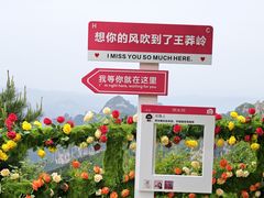-王莽岭风景区