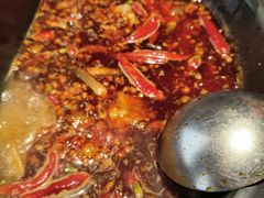 -蜀大侠火锅(总府路店)