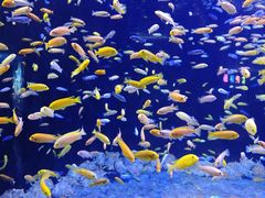 -成都浩海立方海洋公园