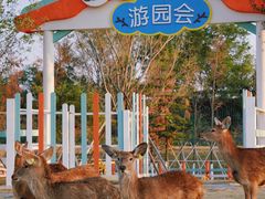 -盈香心动乐园