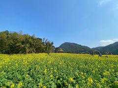 -广州市石门国家森林公园
