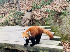 -杭州动物园