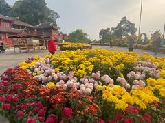 -乐山大佛风景名胜区乌尤寺南门-售票点