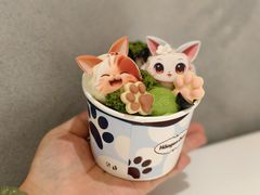 -哈根达斯(武汉天地店)