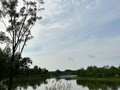 -东郊湿地公园