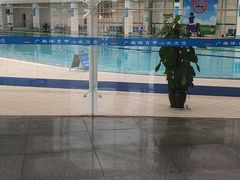 -广西体育中心-游泳馆