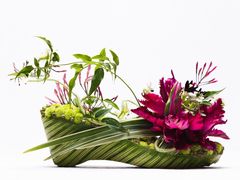 -荷兰布尔玛国际花艺学院