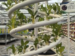 -兴芮温泉度假区