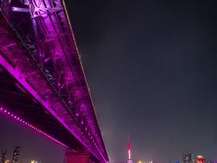 -武昌江滩