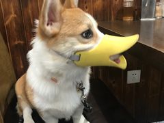 -RP酒吧·静吧·BAR