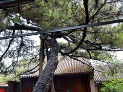 -红螺寺