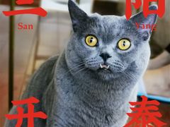 -Catmate·猫肥家润(金润铂宫店)