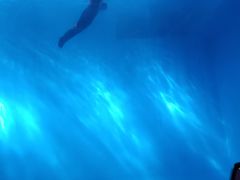 -芜湖新华联大白鲸海洋公园