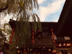 -洞子口张老二凉粉(文殊院店)