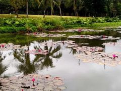 -白沙门生态公园