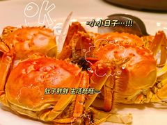 -浙里会