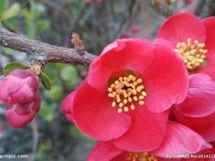 -仙山谷激浪漂流