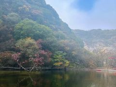 -终南山国家森林公园