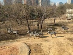 -南昌动物园
