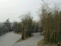 -茯茶镇