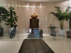 -顽皮家族宠物医院(浦东北园路分院)