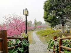 景点-大阳山国家森林公园