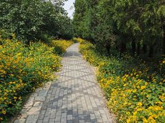 -东升八家郊野公园