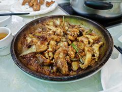 -源港渔村-中山脆肉鲩(博罗店)