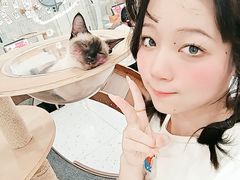 -喵园·猫主题咖啡厅·撸猫·猫咖(国贸店)