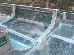 -花水湾第一村温泉大酒店