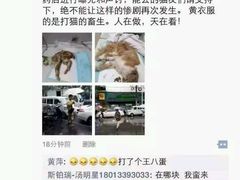 android_upload_pic-盛京一禾