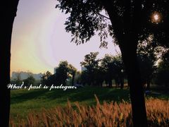 -汉长安城未央宫国家考古遗址公园