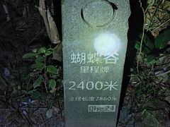 -梧桐山风景名胜区