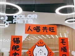 -COLOR PETS 撸猫馆·购猫·猫咖(长风大悦城店)