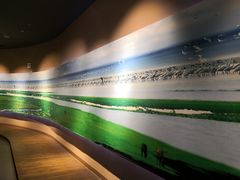 -鄱阳湖国家湿地公园