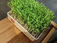 -左庭右院鲜牛肉火锅(浦江欢乐颂店)