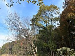 -东湖落雁景区