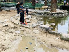 -苏州河梦清园环保主题公园