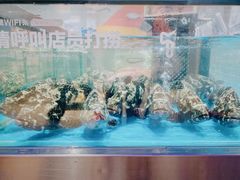 -盒马鲜生(领丰汇店)