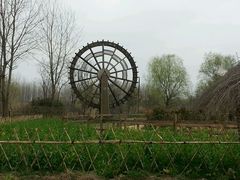 -溱湖国家湿地公园