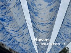 -璞真扎染博物馆