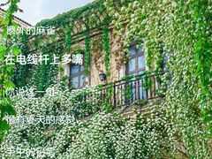 -成都当代影像馆