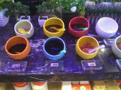 -圣捞海鲜自助餐厅(乐从天佑城店)